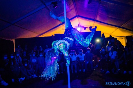 Seznamovák Kronika 2020 - Zaškolovák MUNI